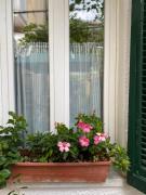 Top Marina di Carrara