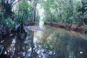 Top Madikeri