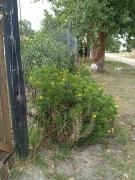 Cabaña Acantilandiao