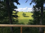 Top Pineville