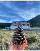 Top San Antonio de las Alazanas