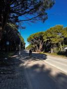 Top Vlorë