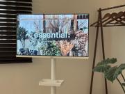 서울라이츠 Gangnam Seoul