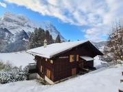 ABO - Boutique Apartment - Chalet Grindelwaldgletscher