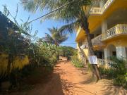 Top Anjuna