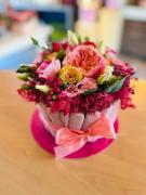 Le 25 du Biez Studio cosy avec piscine à Han-sur-Lesse