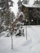 Top Moszczona Pańska