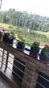 Top Mirik