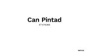 Can Pintad