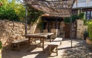 Top Sineu