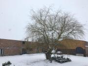 La gaîté de louvignies