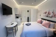 Comfortable & Bright Studio Near Central London