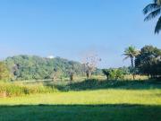 Kolla Watersong Eco Cabana Resort Sigiriya