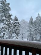 Apartment on the ski slope Pohorje 11