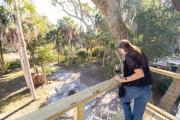 Top Edisto Island