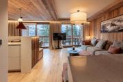 Antarès ORION 101 - luxury apartment ski inski out