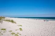 Top Fort Morgan