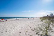Top Fort Morgan