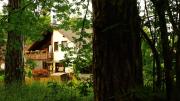 Top Bad Harzburg