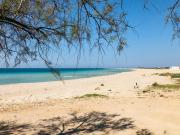 Graziosissimo piano terra 250 passi spiaggia LA NINA