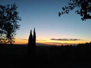 Restful Farmhouse near Forest in Vinci with Pool