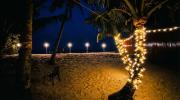 Top Alleppey