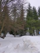 Top Campofelice di Roccella