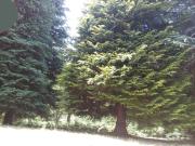 Top Saint-Rémy-sur-Durolle