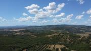 Top Seggiano