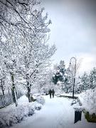 Kwatera Prywatna Maja