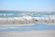 Top Myrtle Beach