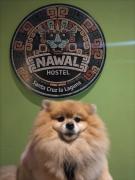 Top Santa Cruz La Laguna