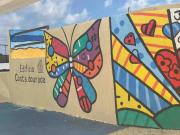 Top São José da Coroa Grande