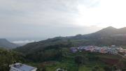 Mount n Mist