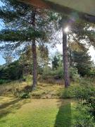 Appartement Belle dune, entre lac mer et forêt