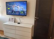 Woodland Strawberry - Titova Vila Zlatibor