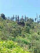 Top Nagar