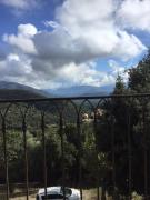 Top Moltifao