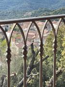 Top Moltifao