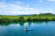 Top Bocas del Toro