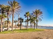 Top Málaga