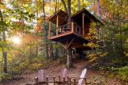 Dreamy Treehouse Getaway Dog FriendlyDisc Golf
