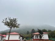 Top Bāghmundi
