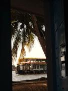 Top Alleppey
