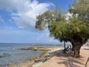 Top Colonia de Sant Pere