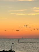 Top Lido di Dante