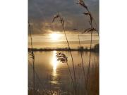 Top Nordstrand Top Nordstrand