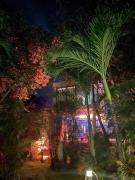 Top Playa del Carmen