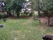 Top Colonia Chapadmalal