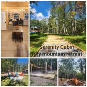 Serenity Cabin Tiny mountain retreat